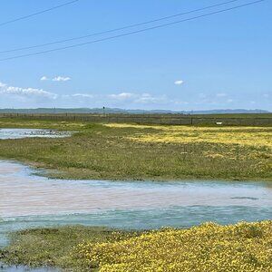 Meet your Posher, Maya